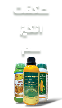 بنر پیشنهاد شگفت‌انگیز