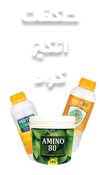 بنر محصولات شگفت‌انگیز ۲