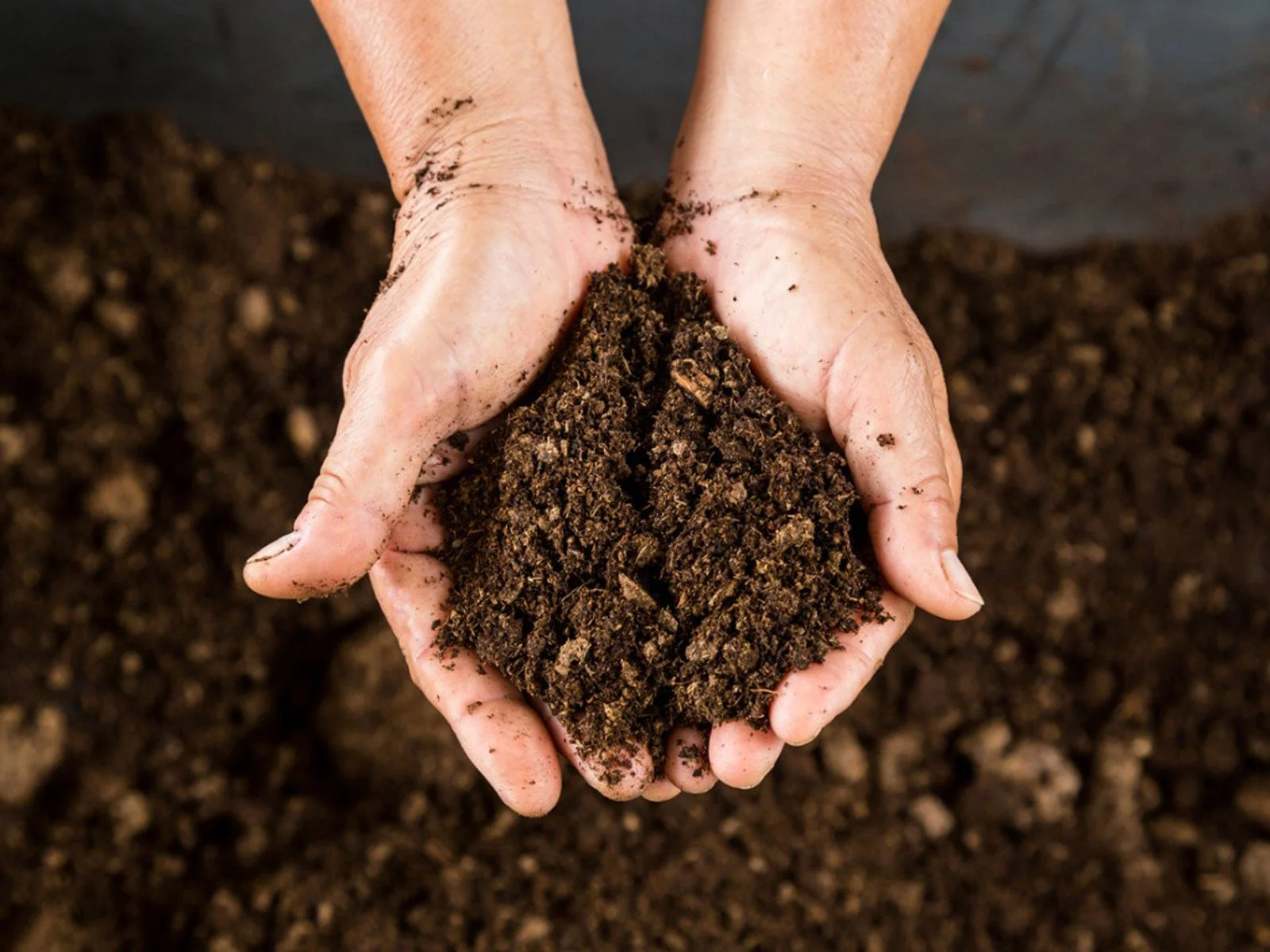 پیت ماس چیست؟ بررسی تخصصی کاربرد، مزایا، معایب و راهنمای انتخاب برای کشاورزی حرفه‌ای