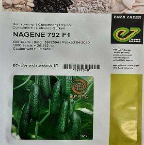 بذر خیار گلخانه یی ناگین  NAGINE 792 F1