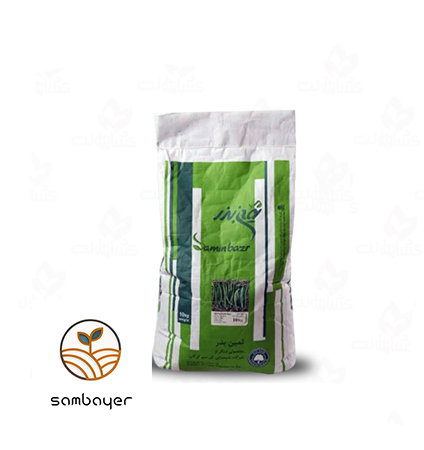 بذر لوبیا سبز سان ری ثمین بذر (ده کیلویی)